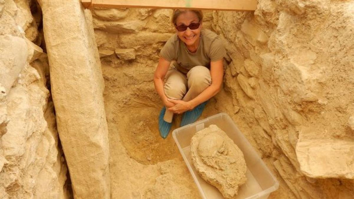 dcdvnzqqdvtdw9nf96vzkf-650-80_51533200