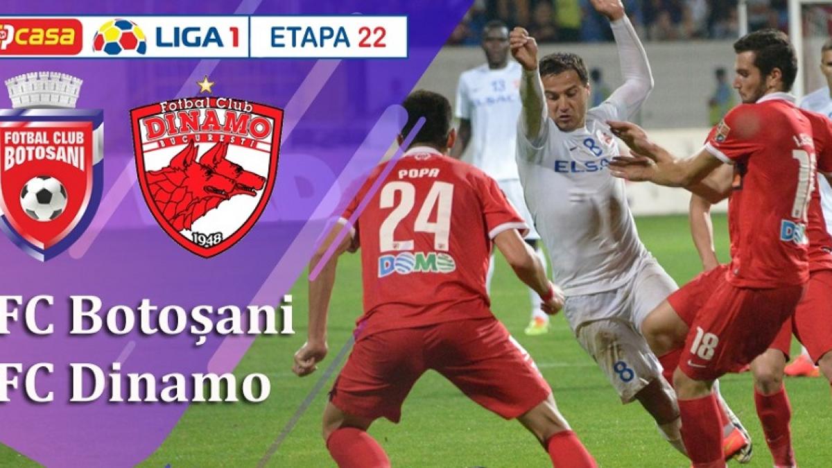 botosani_dinamo_etapa22_fb_94952500