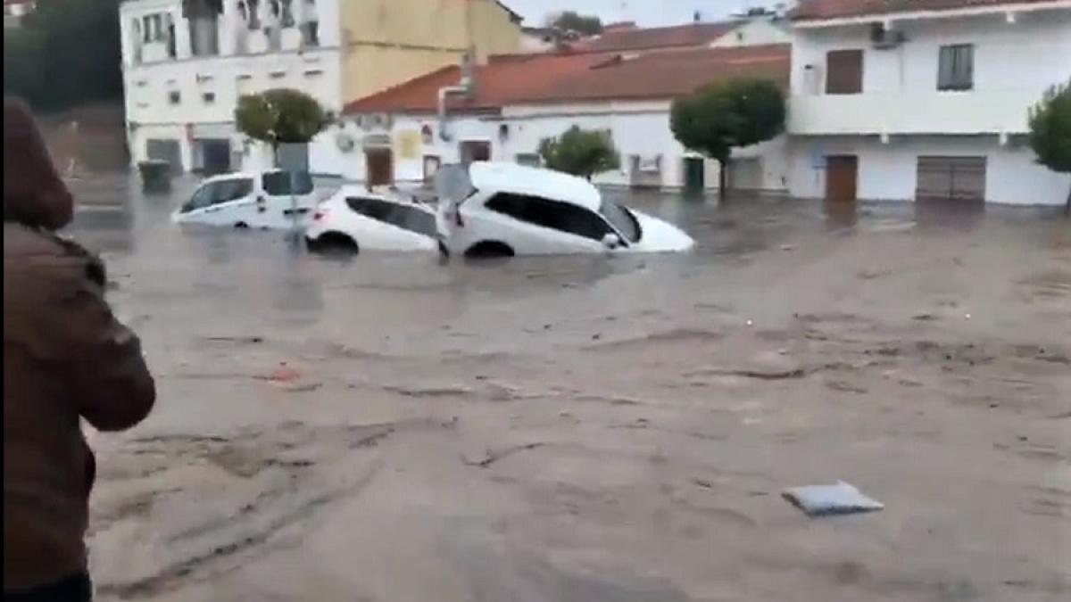 furtuna_elsa_spania_cpv_18289500