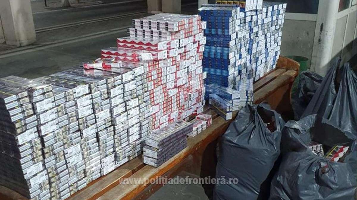 tigari_contrabanda_pol_front_66898300