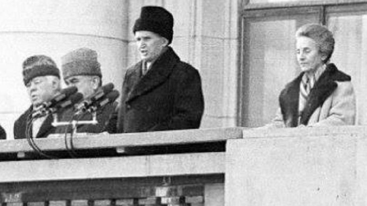 balcon-cc-pcr_85050900