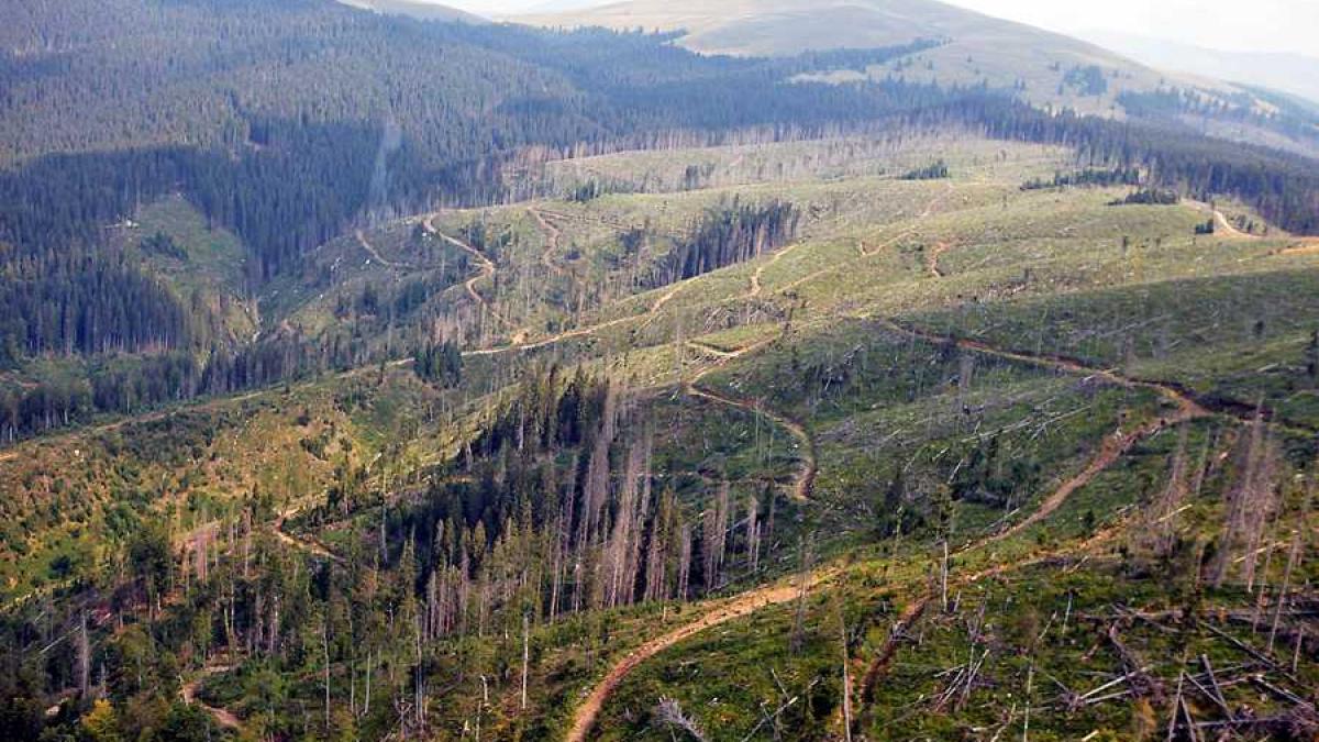 07_carpathia_muntii_fagaras_taieri_4_00361500