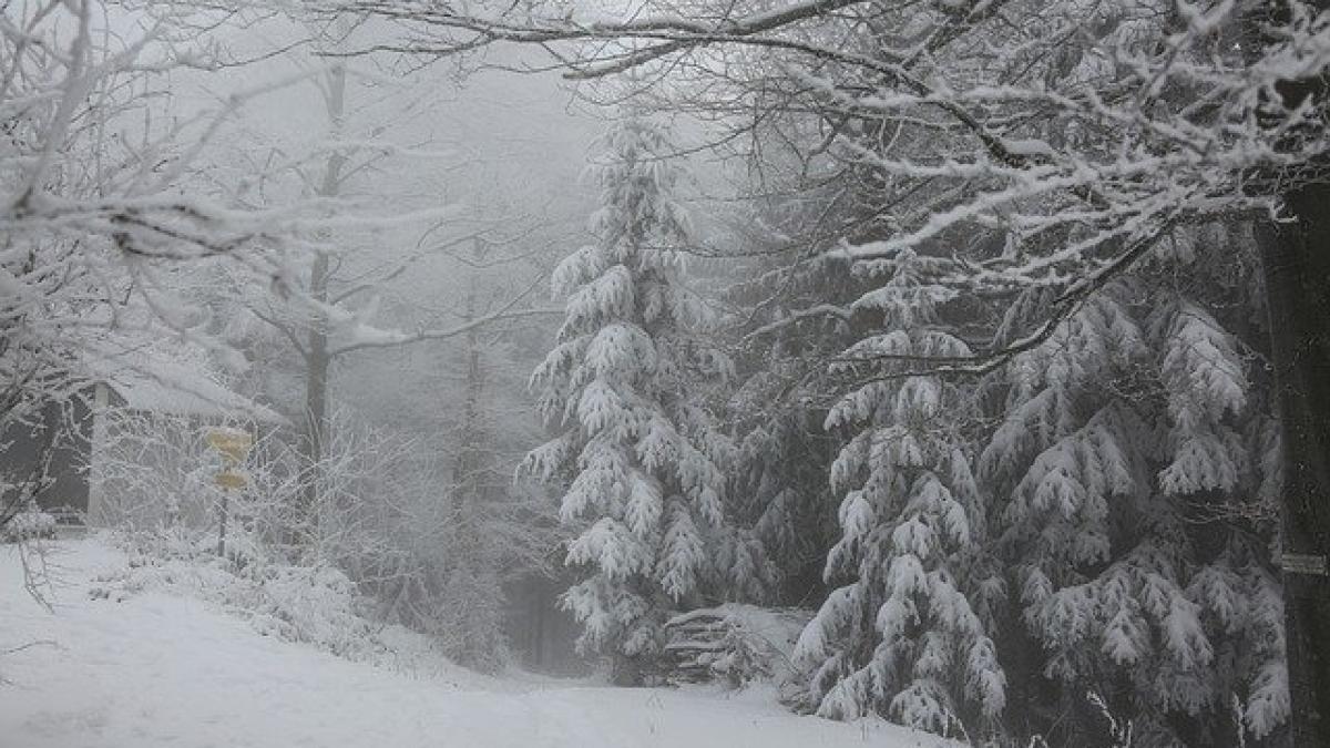 zapada-iarna_23876700