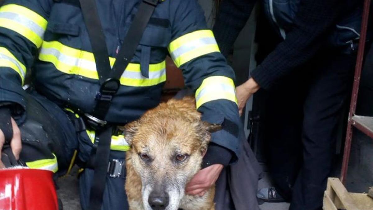 81620862_2909109202487393_6170586283031658496_o_58440800