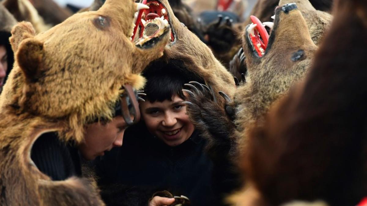 jocul_ursului_60162000