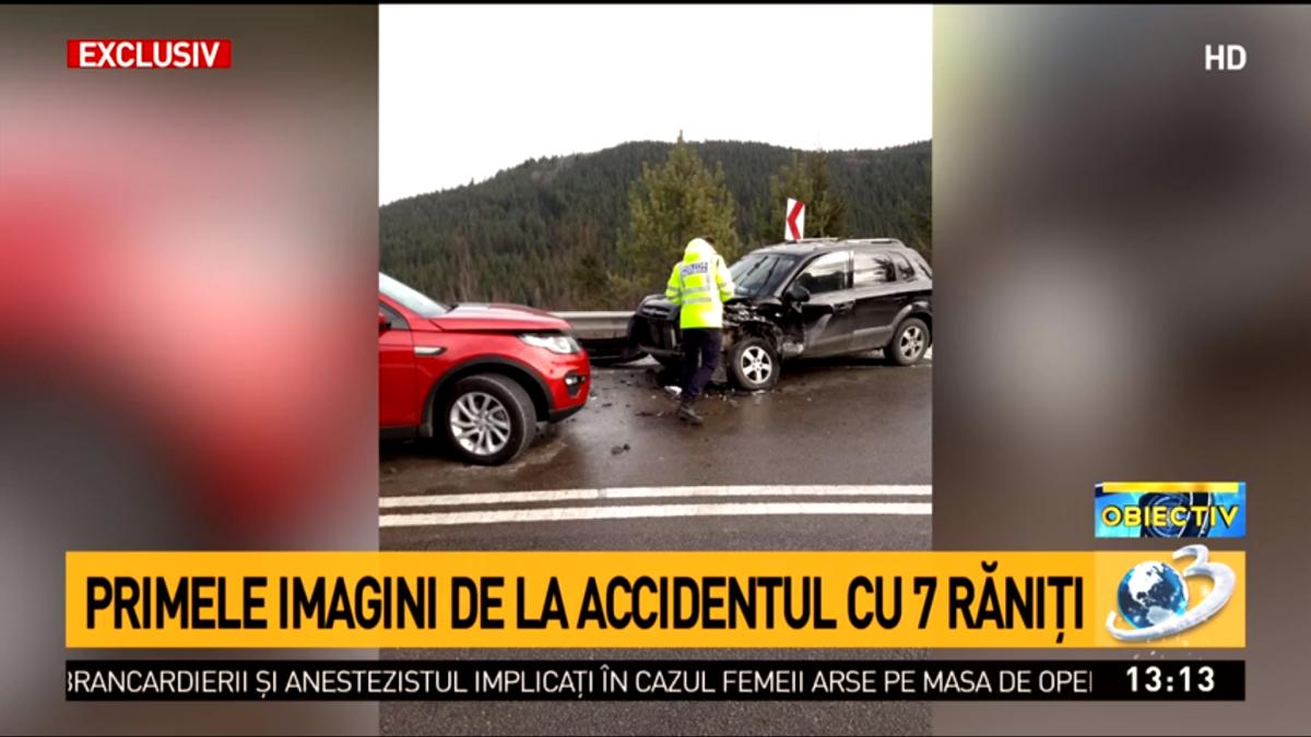 accident-mestecanis1_08912600
