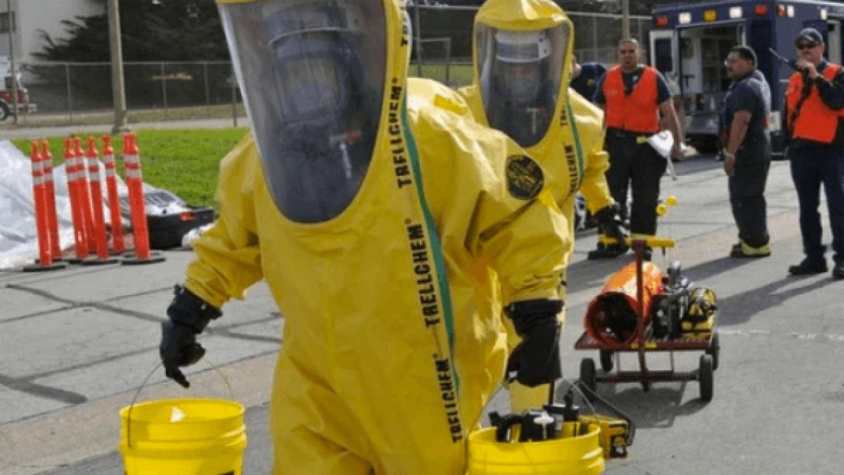 gripa_aviara_germania_dcnews_94815000