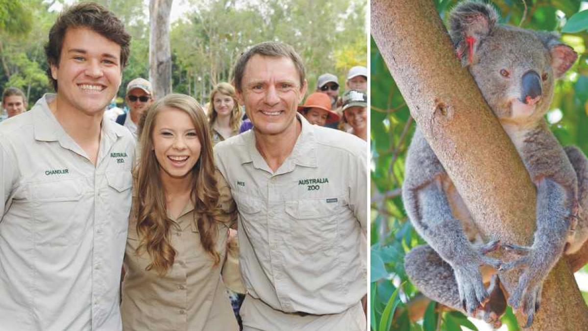 bindi_irwin_auszoo_insta_01_30822700