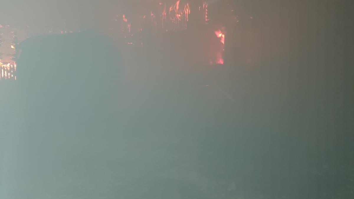 whatsapp-image-2020-01-06-at-08-31-17_08594500