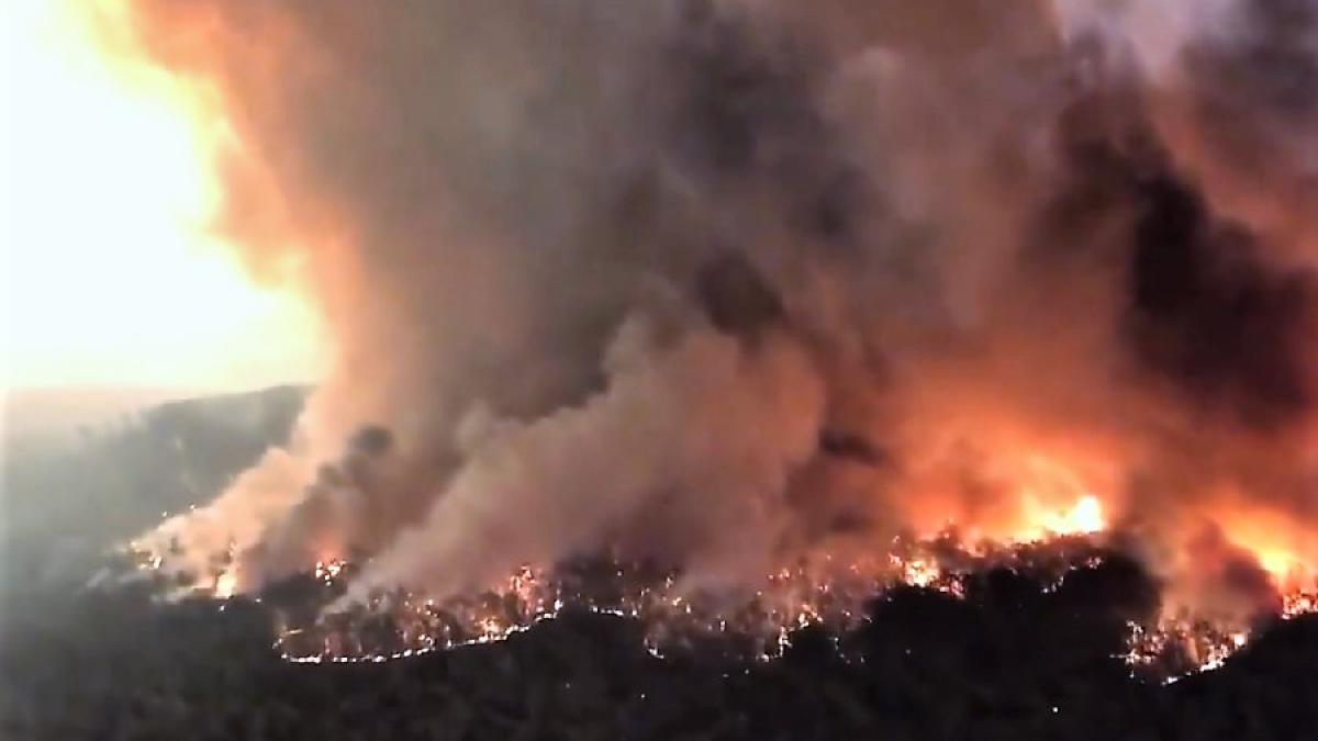 incendii_australia_fum_cpv_13432200