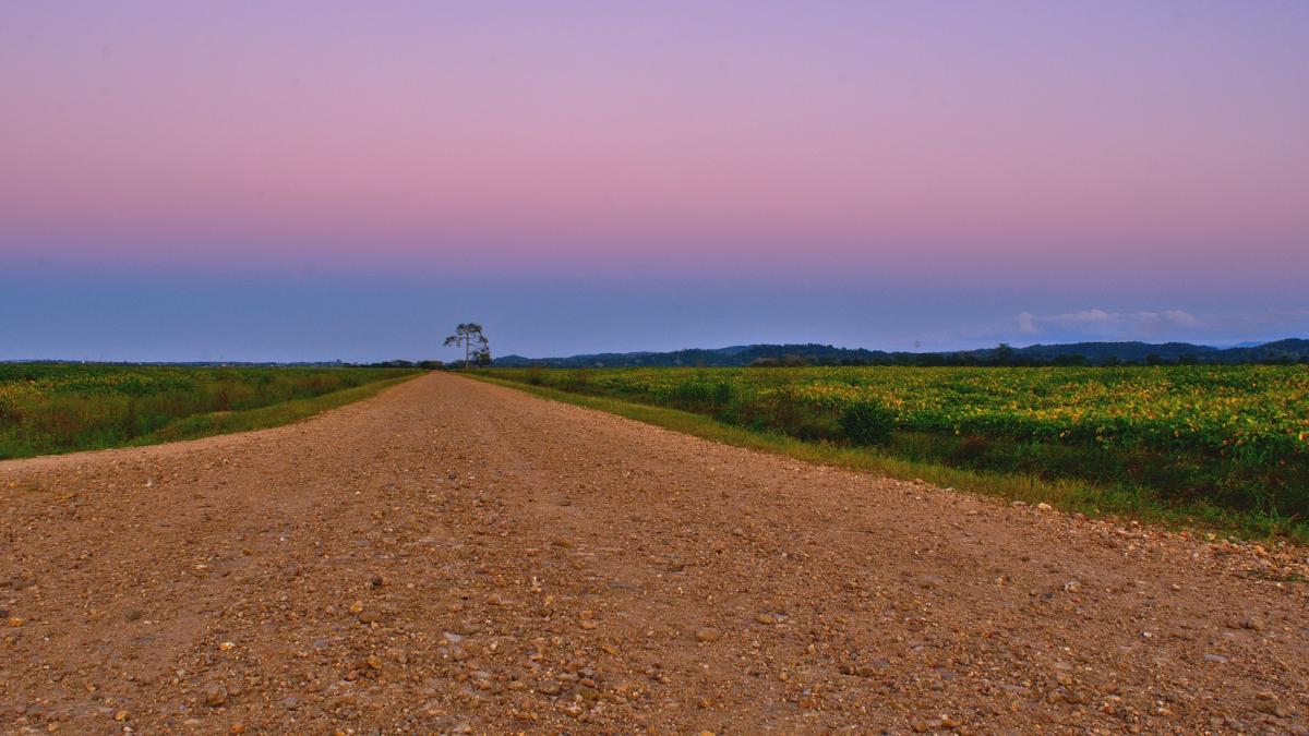 drum_forestier_ulita_82531100