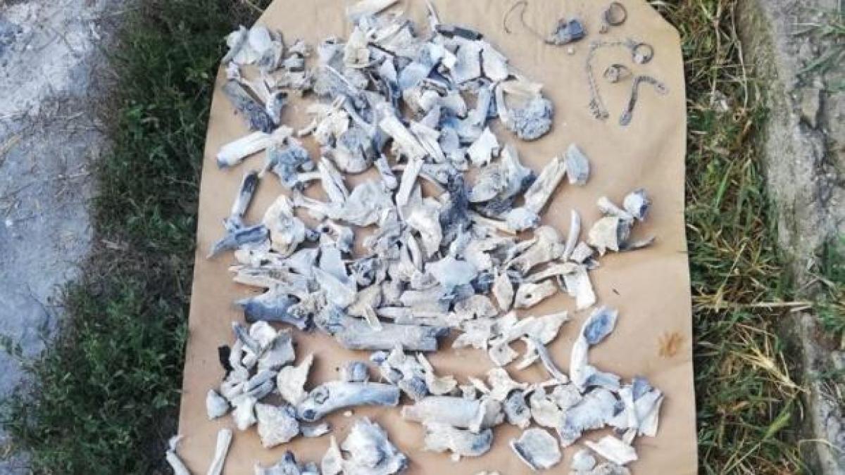 oase-dinti-cenusa-dinca-caracal_33648600