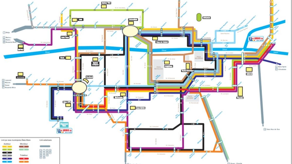 baia_mare_transport_gratuit_08589900