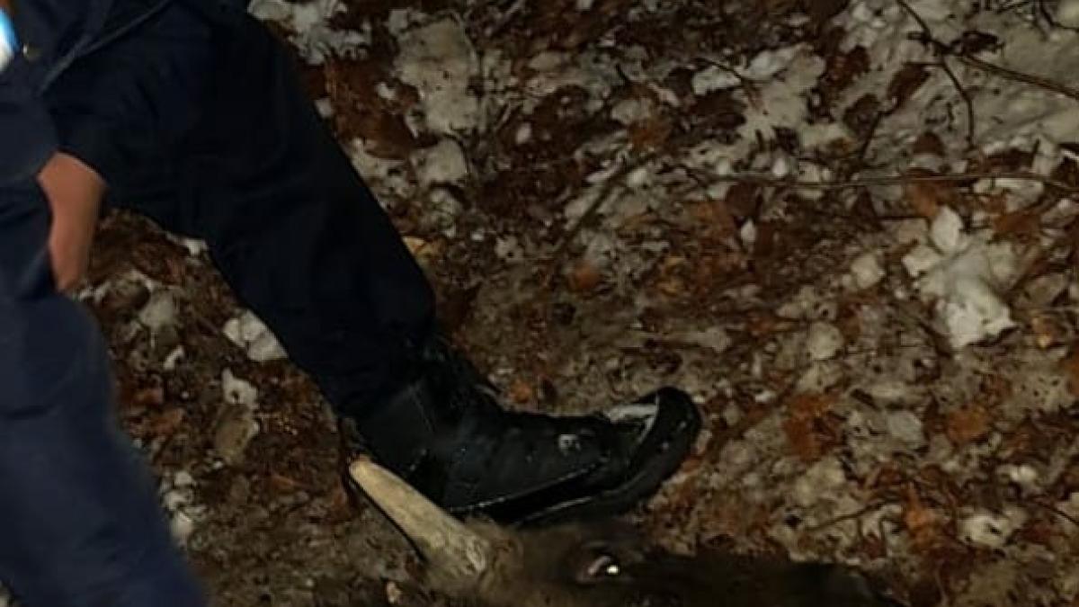 jandarm_caras_severin_00504300