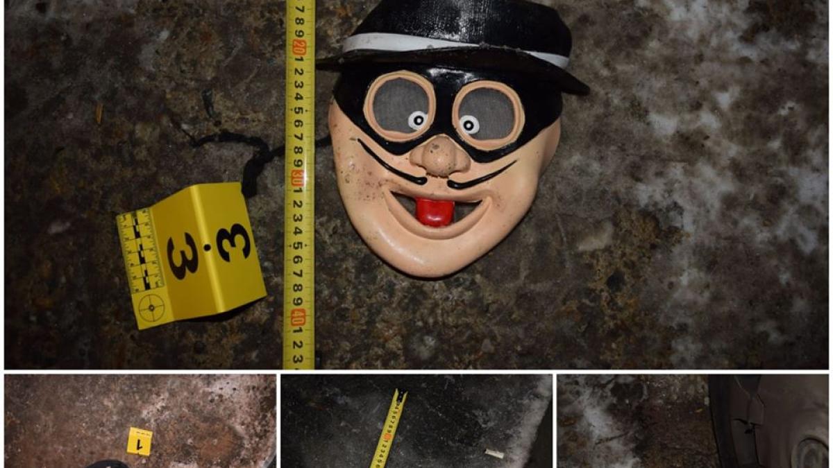 masti-tineri-spargere-foto-ipj-cluj_27527500