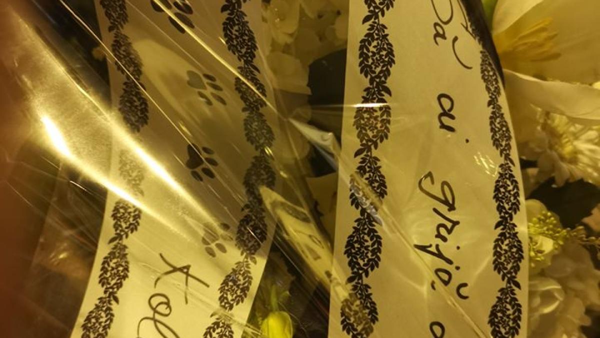 82524470_2779957255419991_5622167286304473088_o_05252700