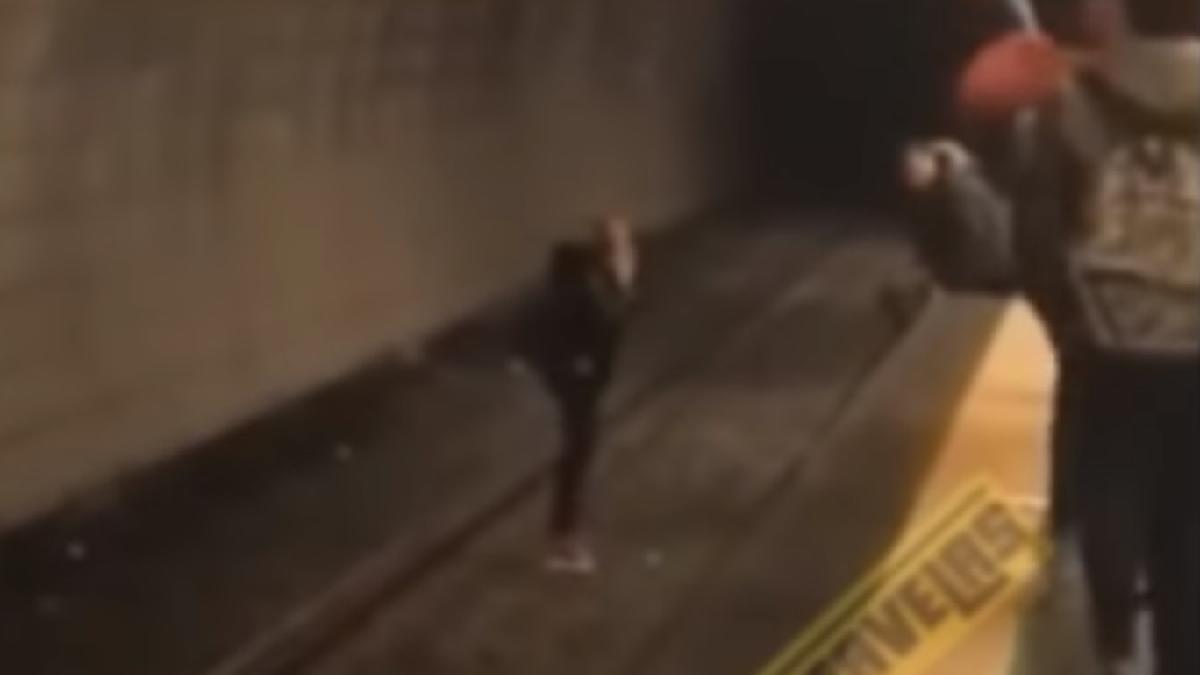 tanara_roma_cpv_33547600