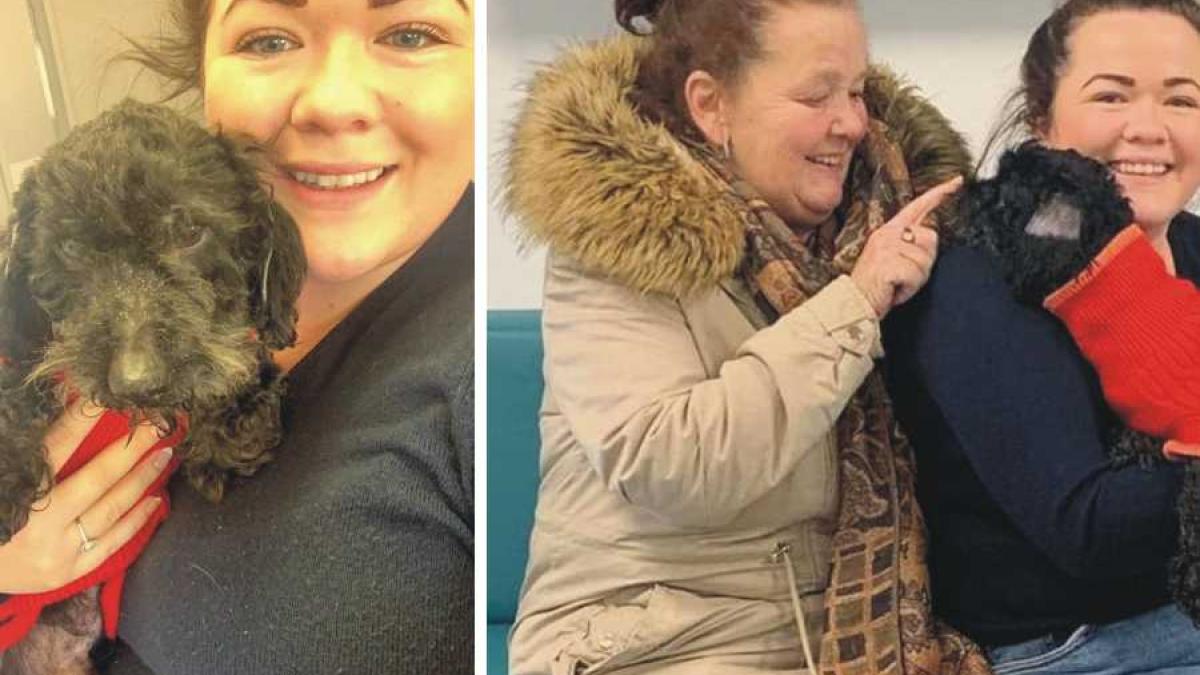 catel_gasit_44362000