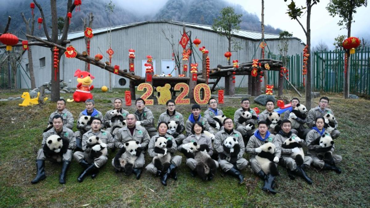 agerpres_13403426_64908600