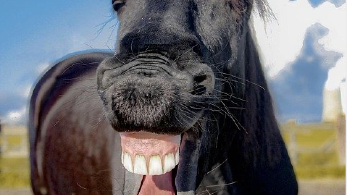 captura-de-ecran-din-2020-01-18-la-09-18-59_69442800