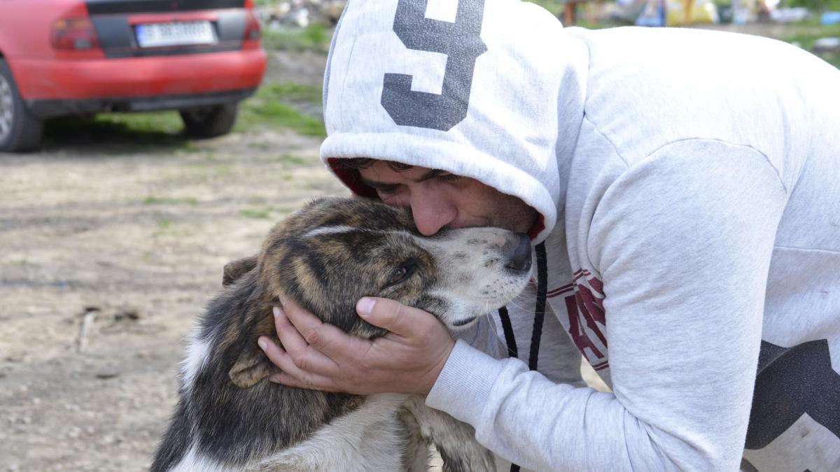 marius-chirca_31257300