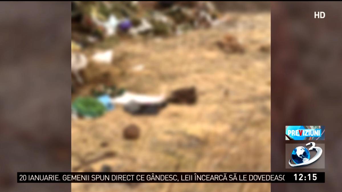 cadavre-pe-camp_90701500