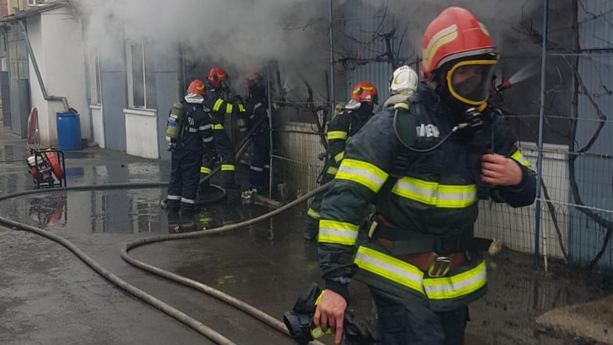 whatsapp-image-2020-01-21-at-13-12-30_06842800