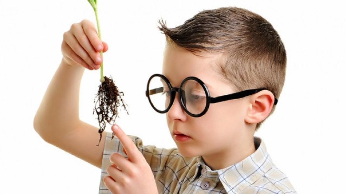 inteligenta_73873600