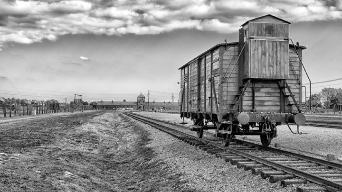 82491220_1855287754607978_2650336623719350272_n_82635300