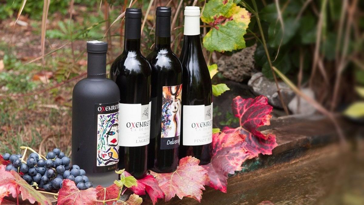 struguri_sticle_vin_pxb_31197600