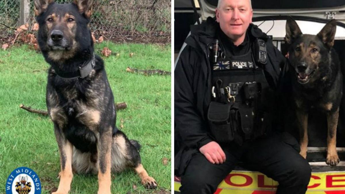 screenshot-2020-01-29-at-18-48-26_86945700