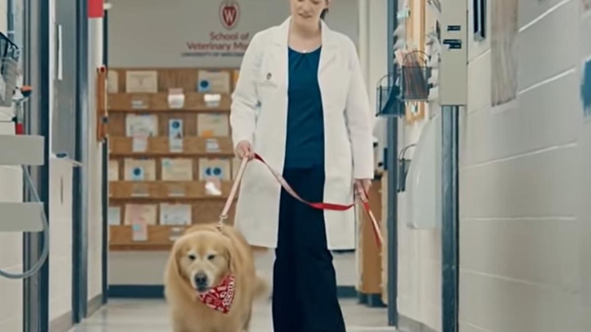 scout_weathertech_reclama_superbowl_90909300