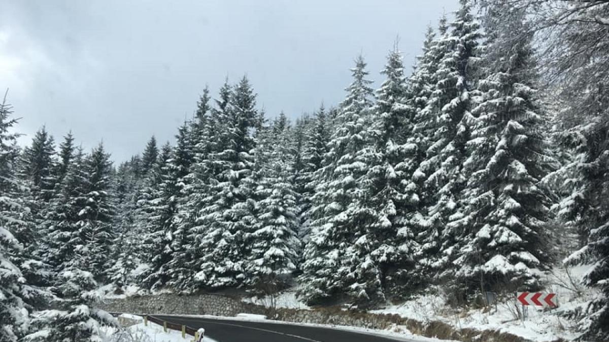 iarna_sosea_zapada_copaci_fb_47707000