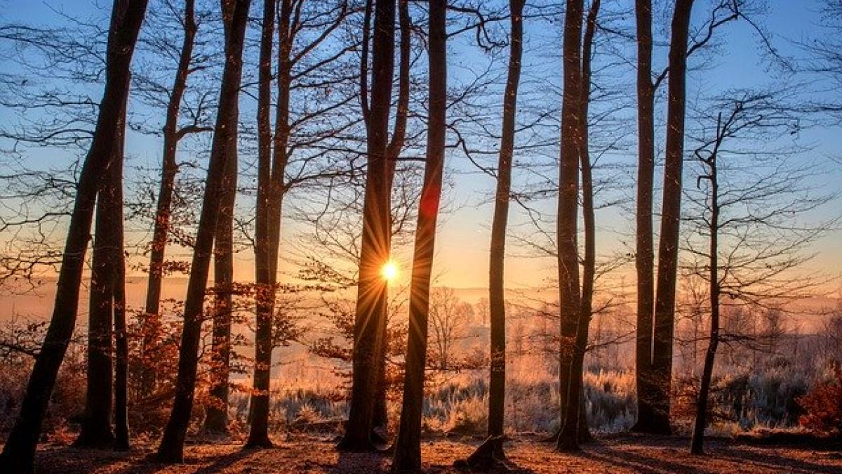 vreme-prognoza-meteo-weekend_91427400