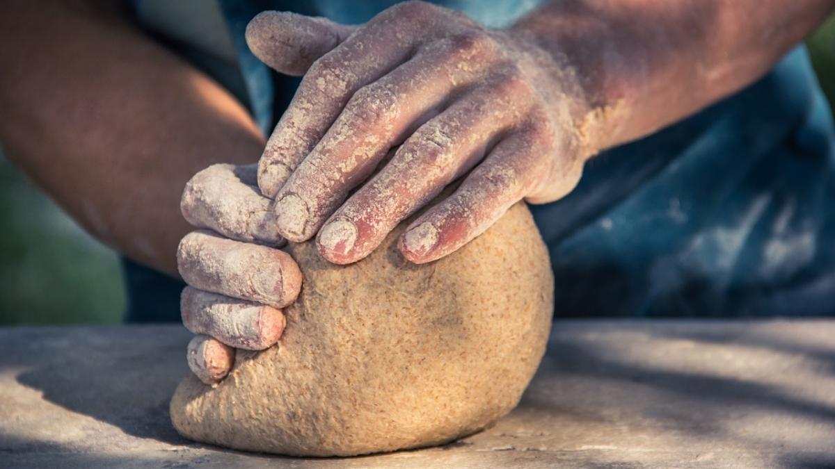 brutar-paine_65450600