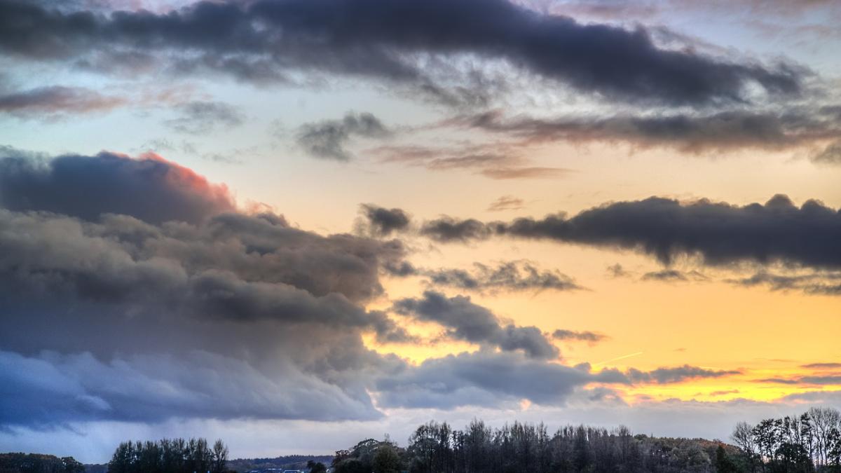 exemplu_contrast_13761800