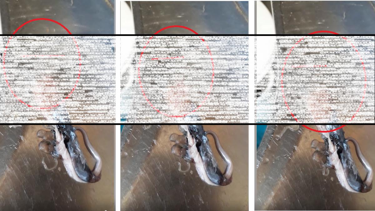 ce-a-gasit-romanca-peste_39068100