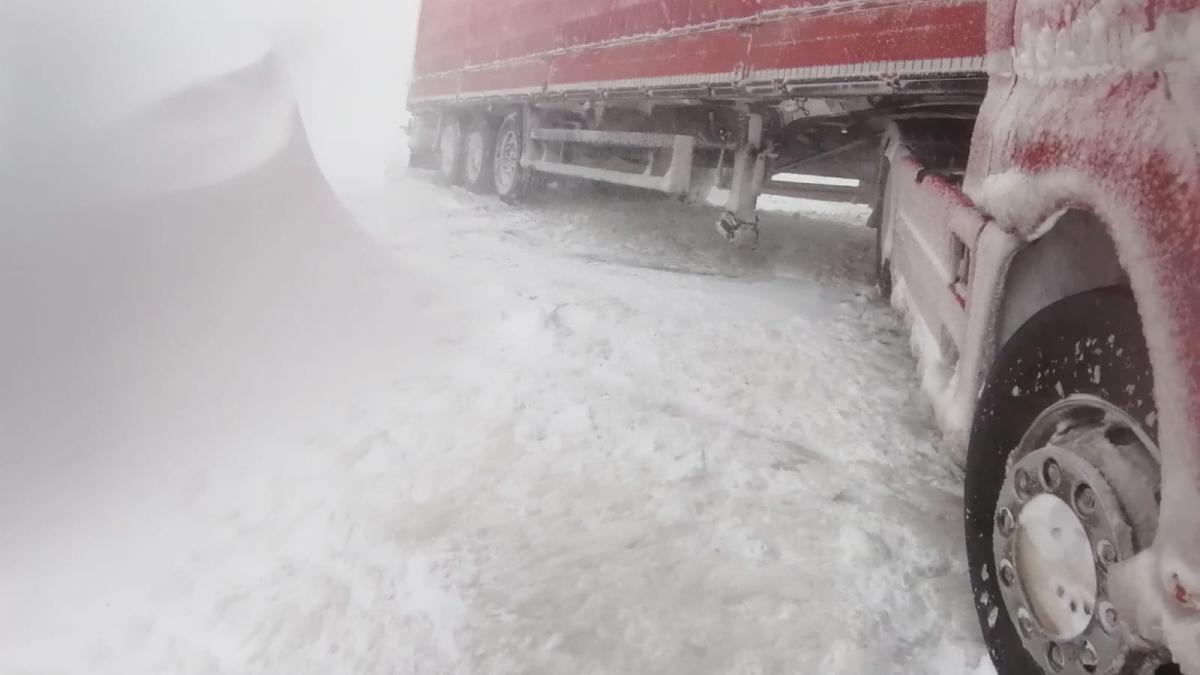 e5102201-b39b-498a-95ad-3db0bab7983a_68027700