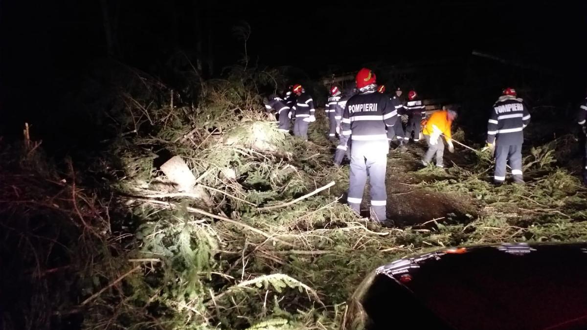 fb0d3f0b-e337-4d55-aa31-d71912762c10_59512800