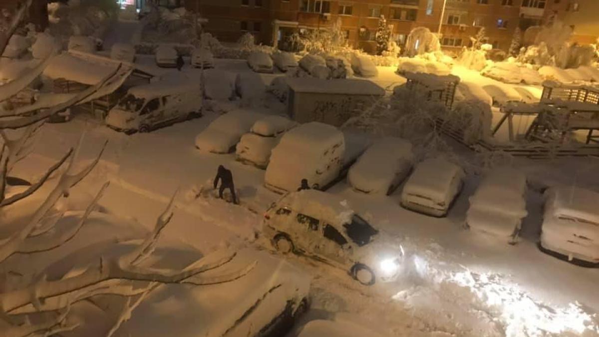 zapada_tudor_ionescu_91982400