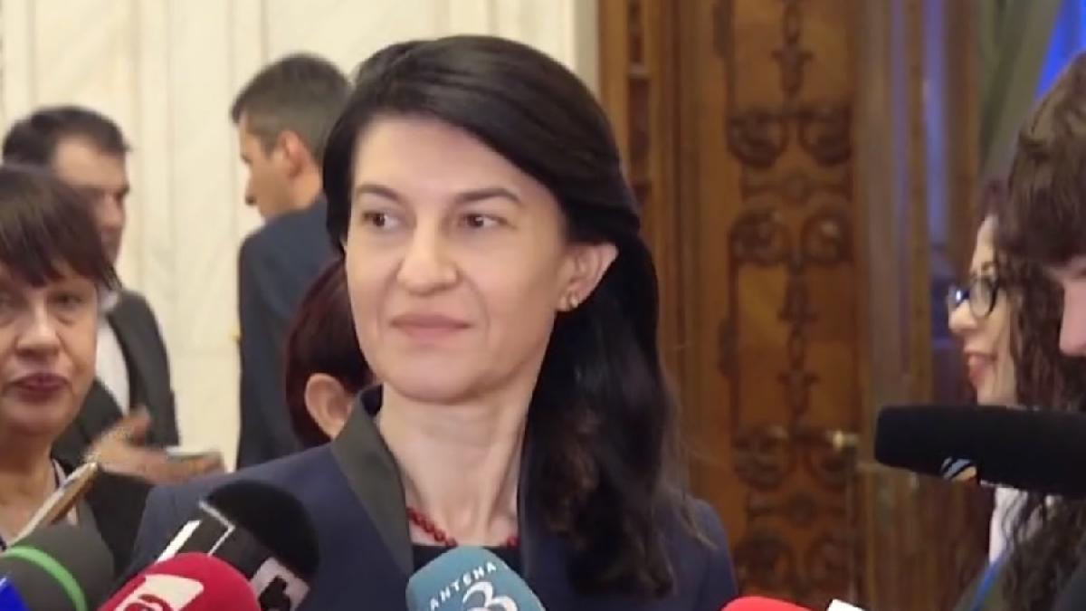 violeta_alexandru_min_parl_cpv_70382500