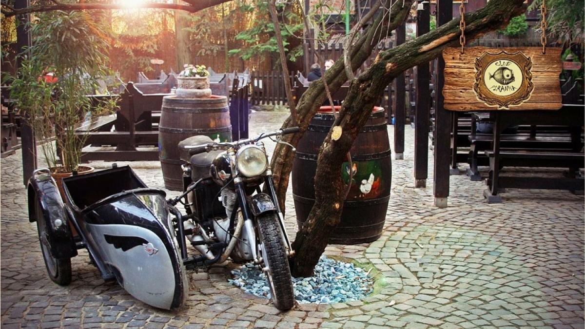 piranhaclub_close_site_43363300