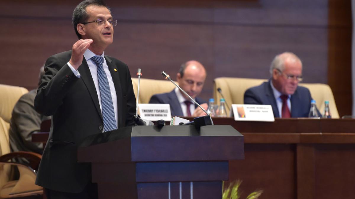 nini-sapunaru_10565000