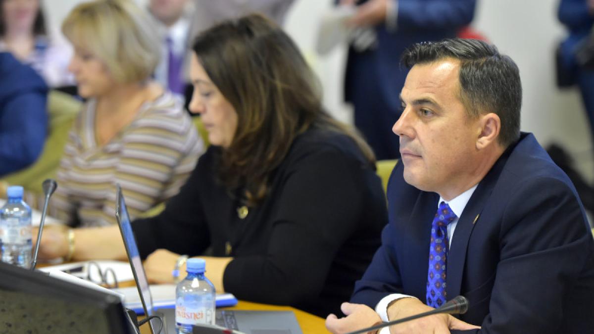 ion-stefan-dezvoltare_61273400