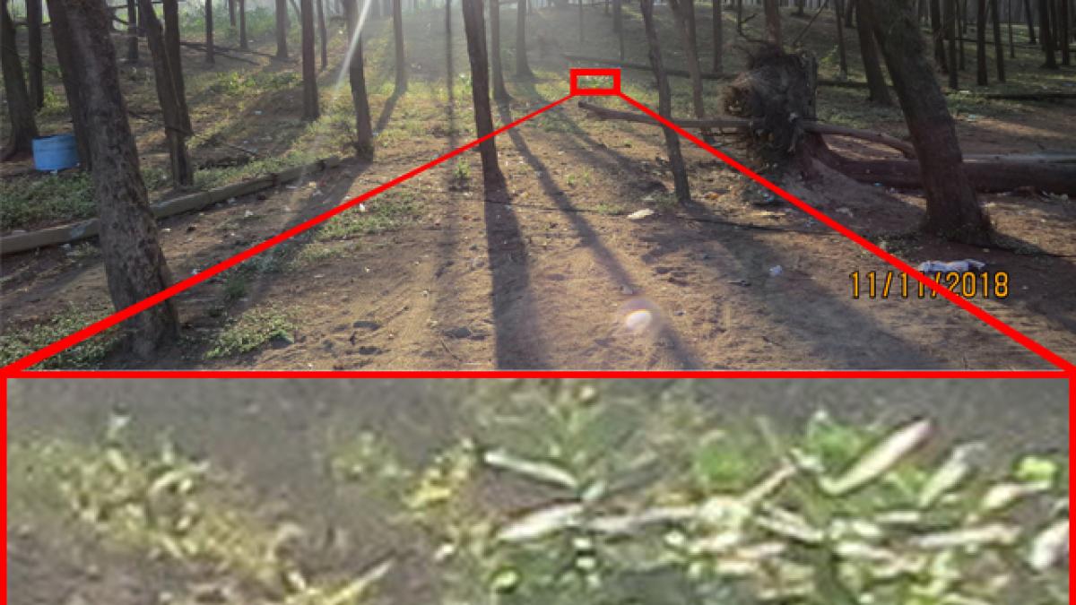 samsung_galaxy_s20_ultra_zoom_66641400