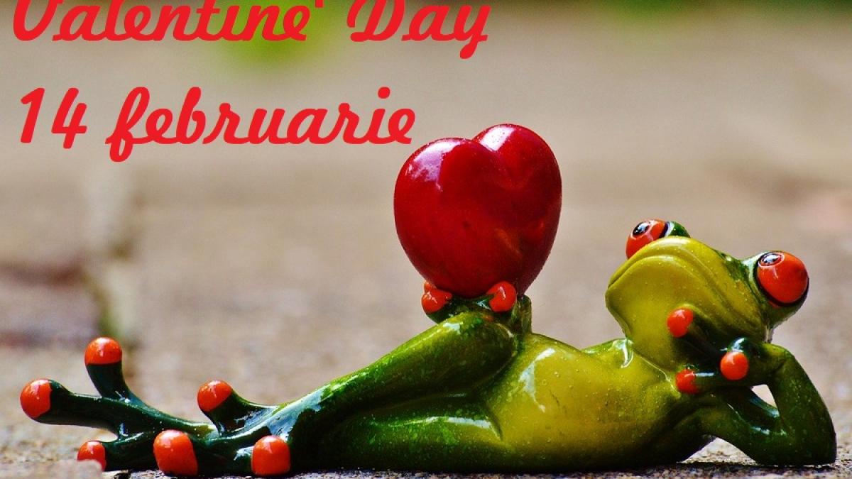 broasca_valentine-s-day-pxb_08599100