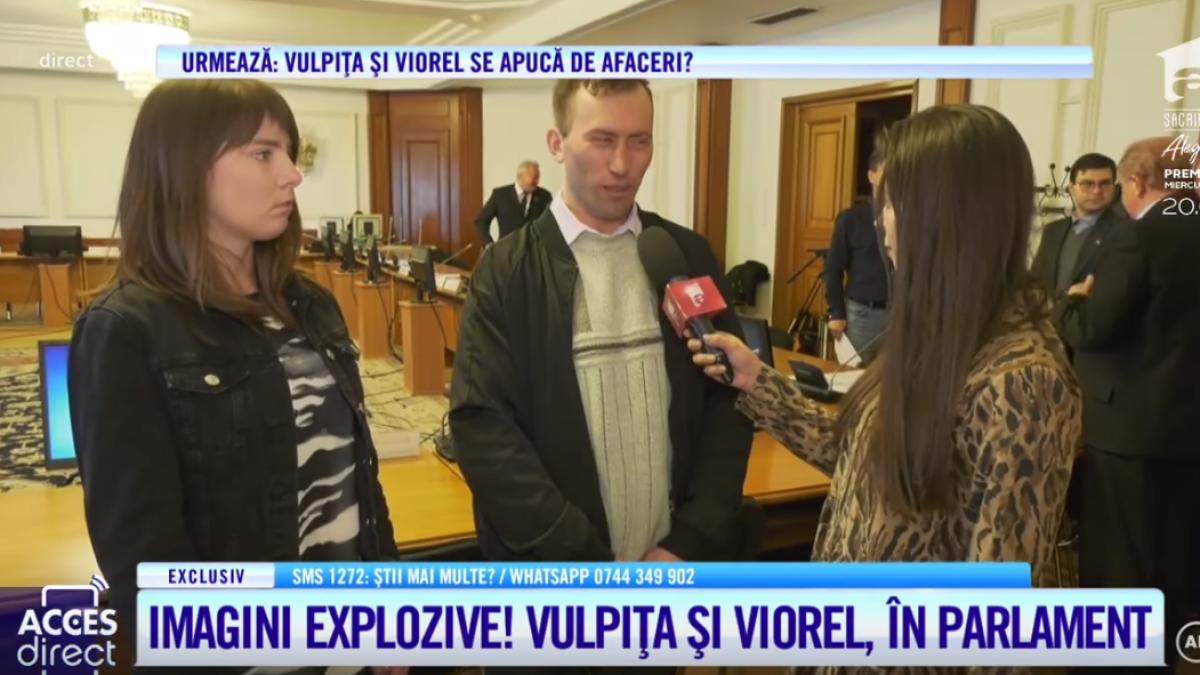 vulpita-in-parlament_21774500