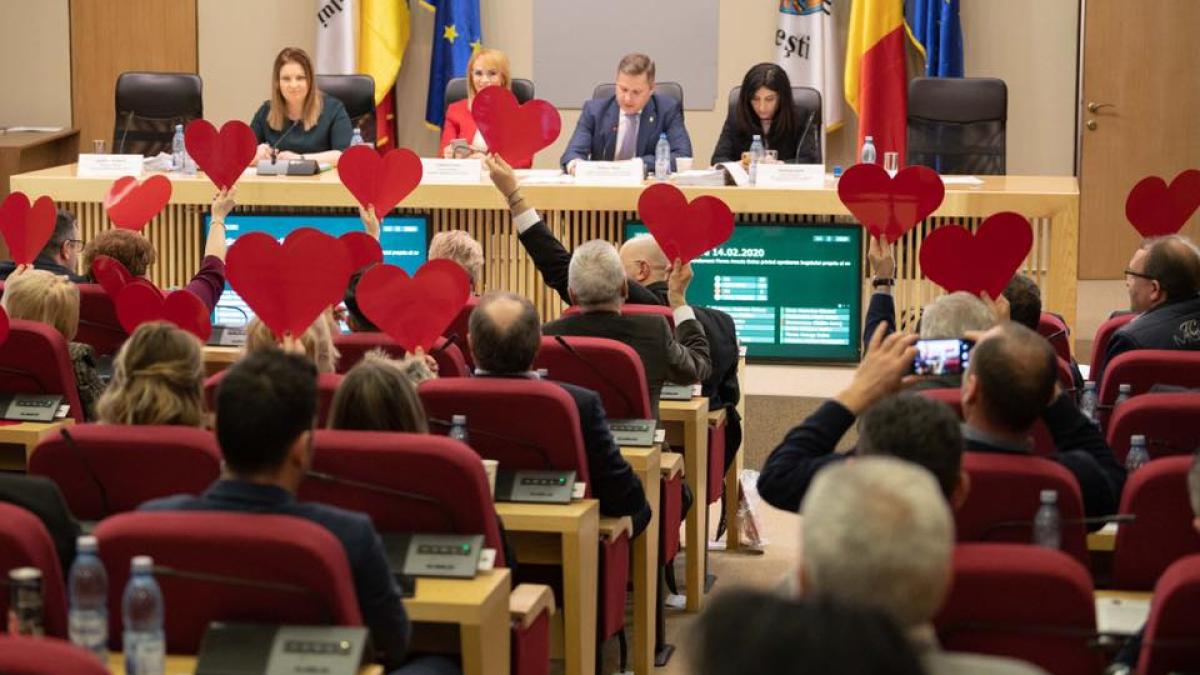 firea-buget_89606200