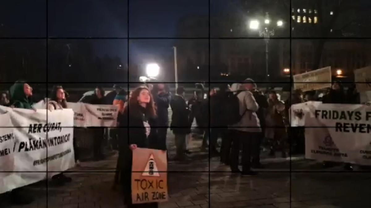 protest_fff_minister_mediu_cpv_92215600