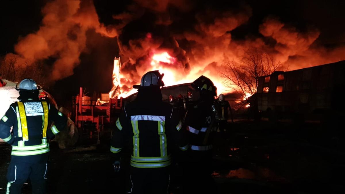 4ff63c91-3fca-4605-8a8a-ba826355f999_74057400